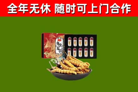 修文县烟酒回收冬虫夏草礼盒.jpg
